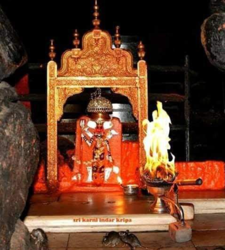 देशनोक करणी माता मंदिर: जहाँ चूहे बनते हैं पूर्वज और सफेद काबा बदलता है किस्मत (Karni Mata Temple Deshnok)