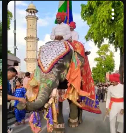 जयपुर हाथी उत्सव 2026:क्या आपने जयपुर का यह राजसी नज़ारा देखा है?