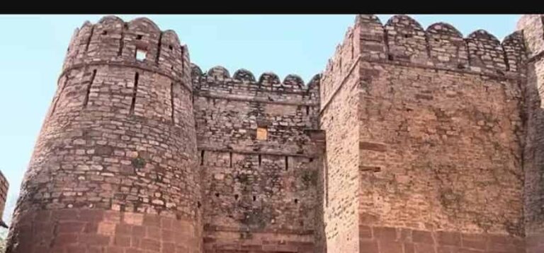 फलोदी का किला: मारवाड़ का वो ‘अजेय दुर्ग’ जिसके पत्थर आज भी सुनाते हैं फलवर्धिका की गौरवगाथा (Phalodi Fort: The Invincible Heritage of Marwar)