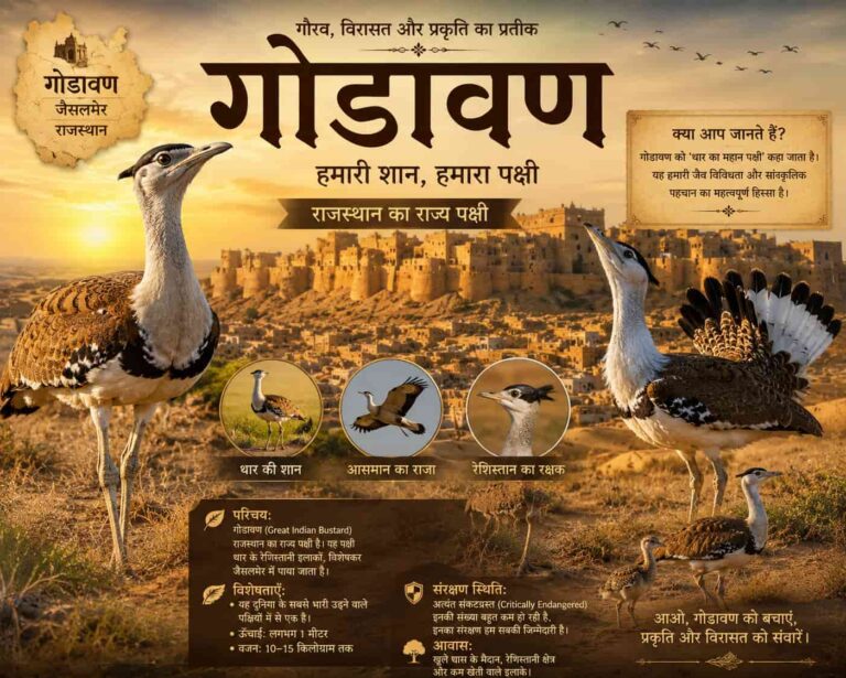राजकीय गोडावण दिवस: मरुधरा के राज्य पक्षी के संरक्षण की एक नई पहल (Rajkiya Godawan Diwas)