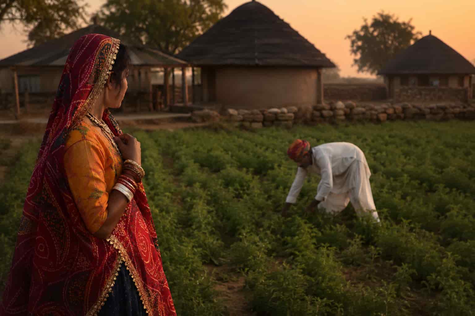 यो जीरो जीव रो बेरी रे! जानिए क्यों प्रसिद्ध है राजस्थान का ‘जीरो लोक गीत’ (Jeero Folk Song)?