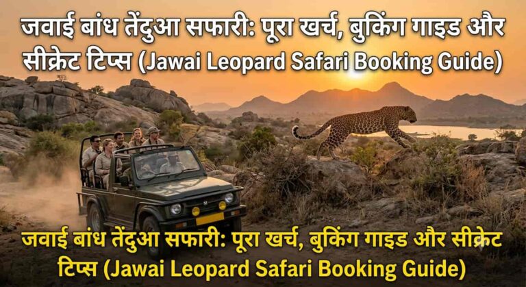 जवाई बांध तेंदुआ सफारी: पूरा खर्च, बुकिंग गाइड और सीक्रेट टिप्स (Jawai Leopard Safari Booking Guide )